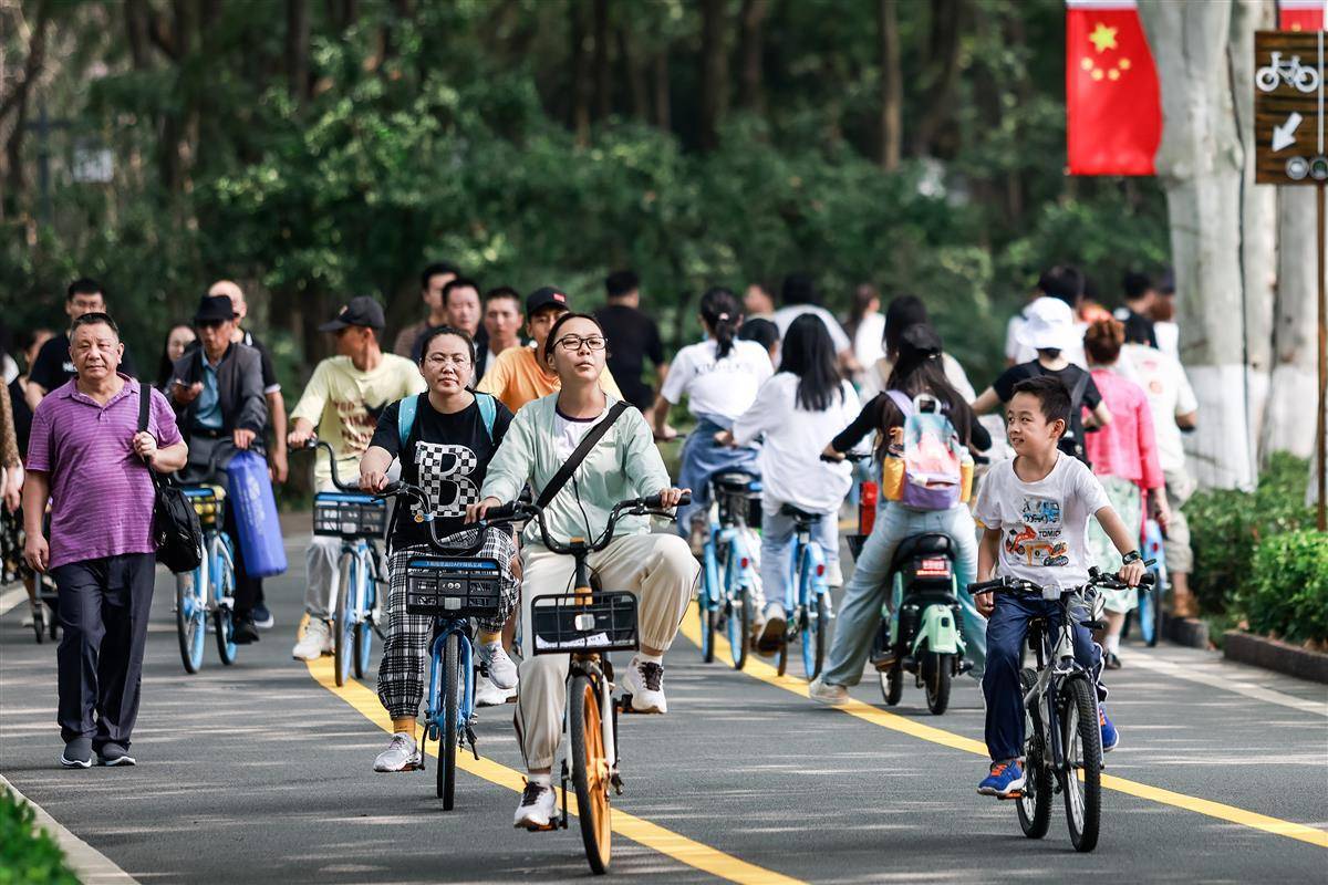 奔驰宝马娱乐